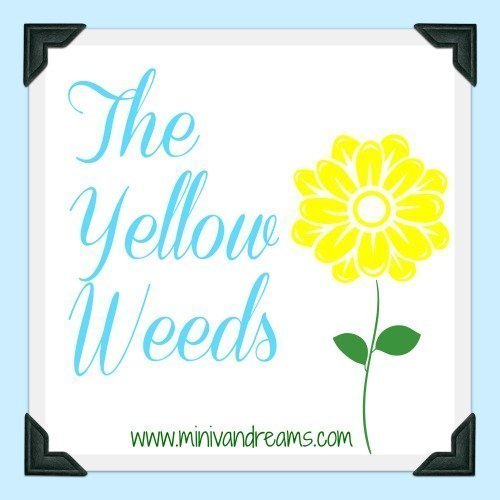 The Yellow Weeds via Mini Van Dreams #familymemories #funnyfamilystories