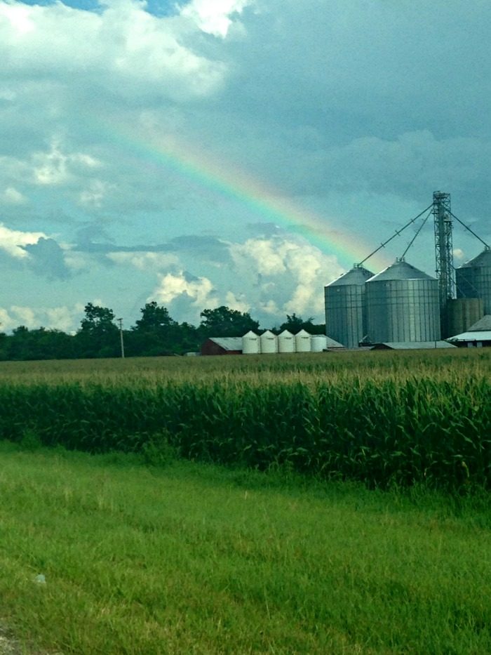 Wordless Wednesday: Rainbow Connection | Mini Van Dreams #wordlesswednesday