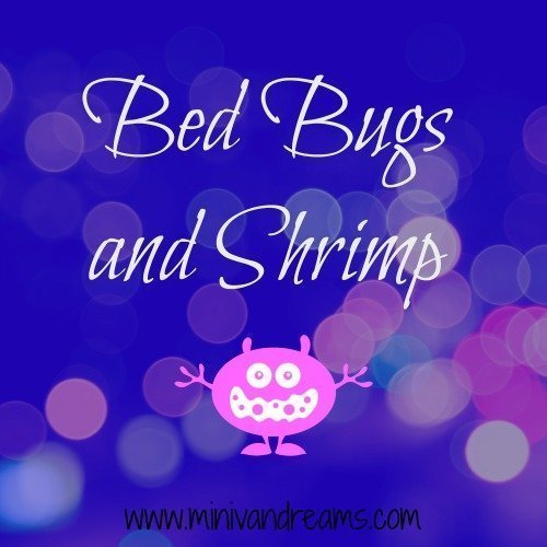 Bed Bugs and Shrimp | Mini Van Dreams