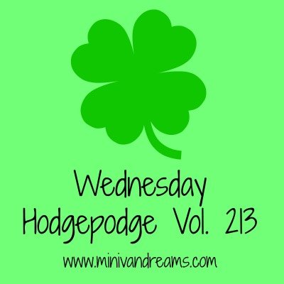 Wednesday Hodgepodge Vol. 213 | Mini Van Dreams