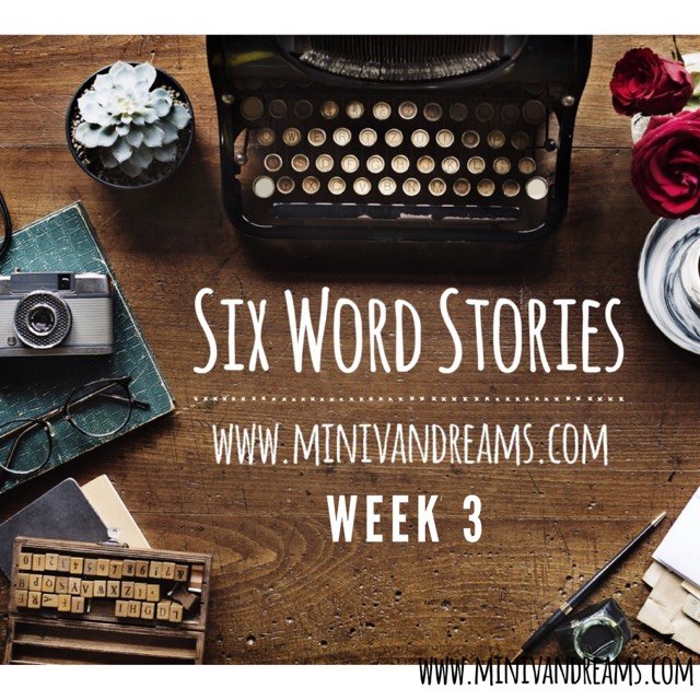 Six Word Stories: Week 3 Recap | Mini Van Dreams