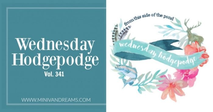 Wednesday Hodgepodge Vol. 341 | Mini Van Dreams