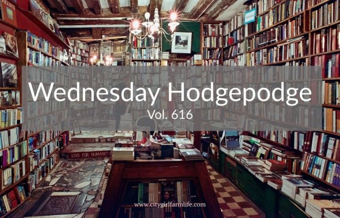 Wednesday Hodgepodge Vol. 616