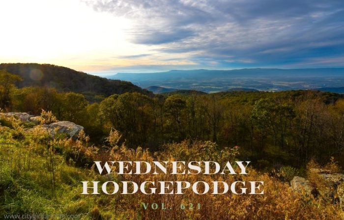 Wednesday Hodgepodge Vol. 620