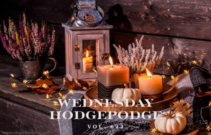 Wednesday Hodgepodge Vol 622