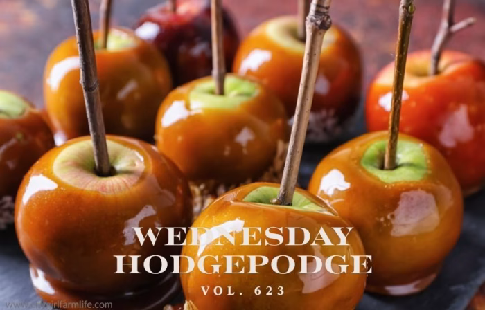 Wednesday Hodgepodge Vol 623