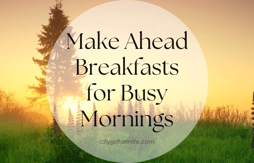 Make Ahead Breakfasts for Busy Mornings